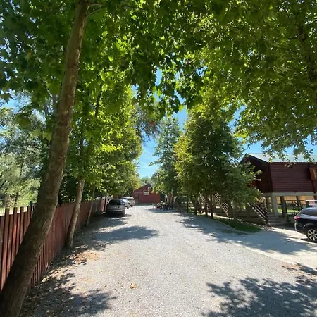 Ruza * Podgorica